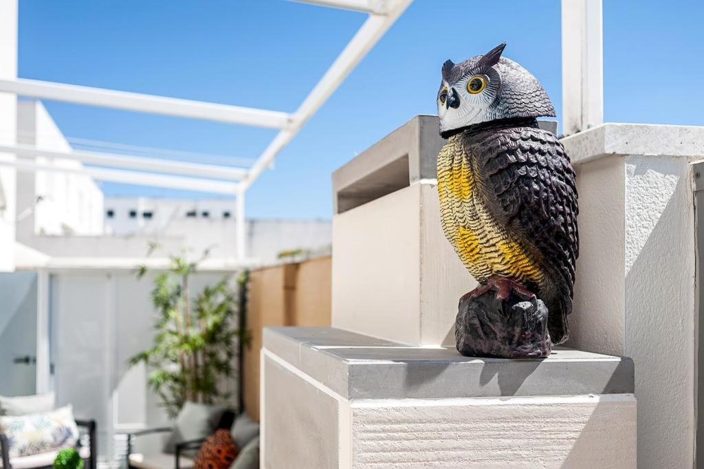 דירות קוניל דה לה פרונטרה Casa Terraza מראה חיצוני תמונה